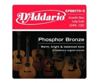 D`Addario EPBB170-5