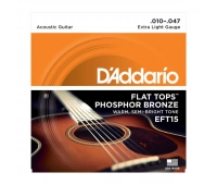 DAddario EFT15