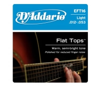 DAddario EFT16