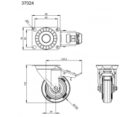 ADAM HALL 37024