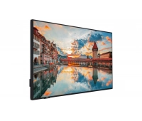 Vestel PN55D-4H 55"