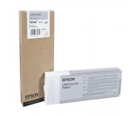 Epson C13T606700