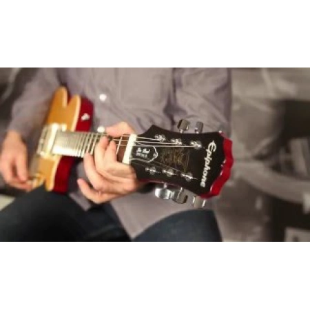 Изображение 2 (Электрогитара EPIPHONE SLASH AFD LES PAUL SPECIAL-II OUTFIT)