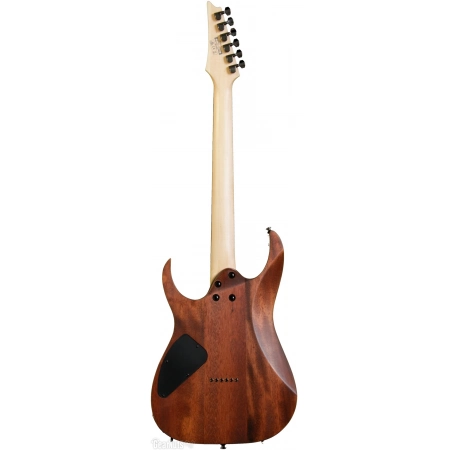 Изображение 6 (Электрогитара IBANEZ RG421-MOL)