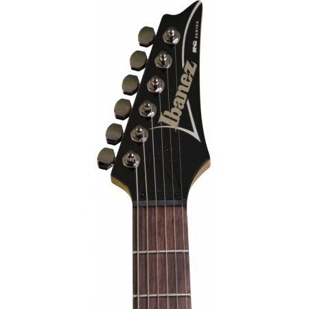 Изображение 2 (Электрогитара IBANEZ RG421-MOL)