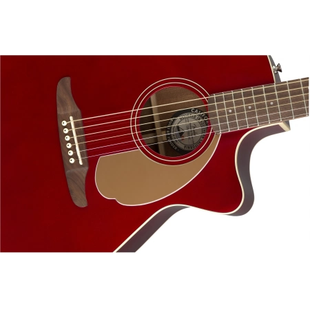 Изображение 4 (Электроакустическая гитара Fender Newporter Player CAR)