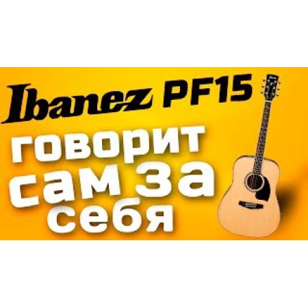 Изображение 3 (Акустическая гитара IBANEZ PF15-BK)
